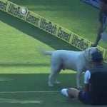 (Pic Credit: Twitter.com)